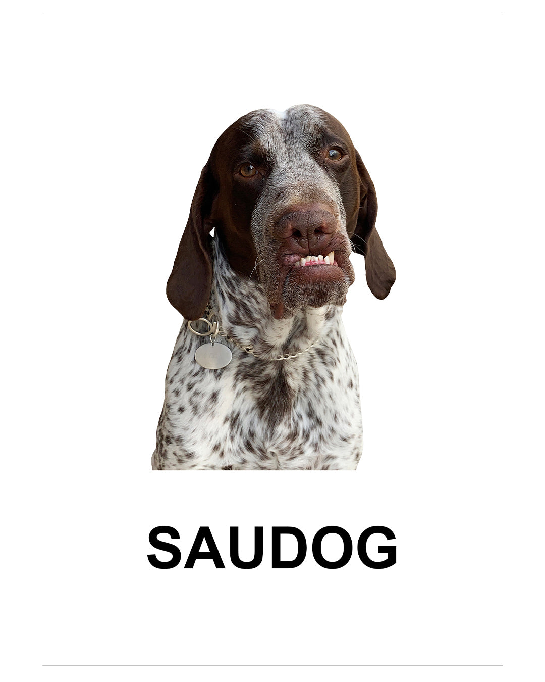 HÁ - Postcard Collection (Set of 16)