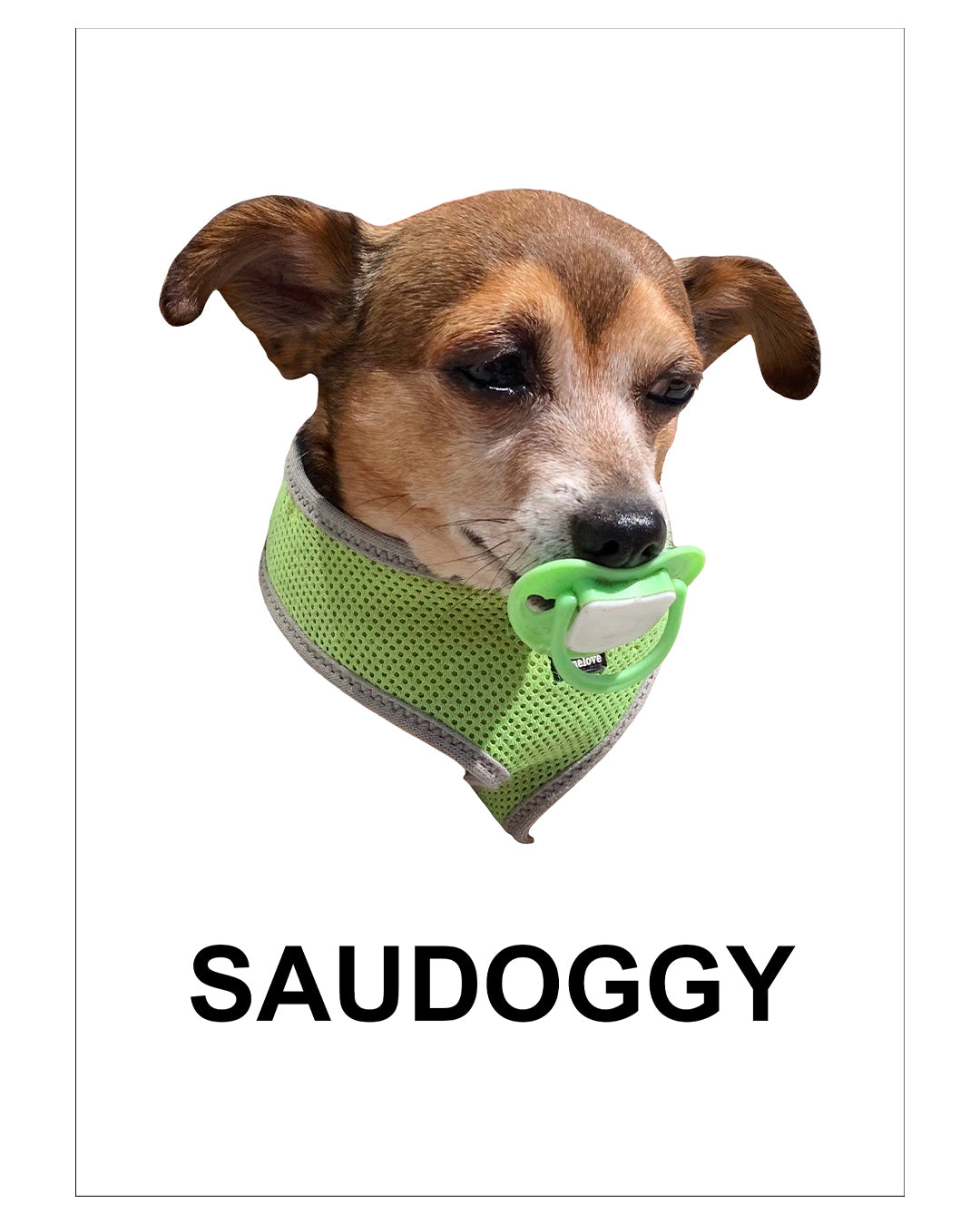 HÁ - Postcard Collection (Set of 16)