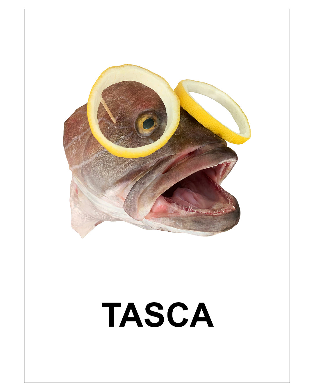 HÁ - Postcard Collection (Set of 16)