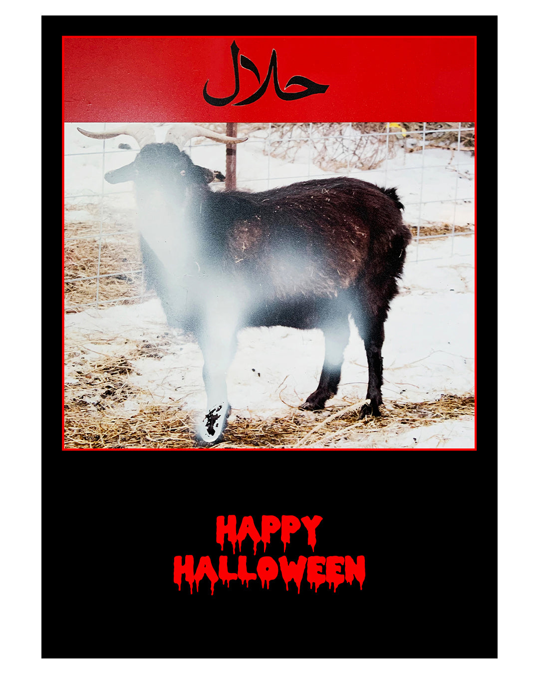 HALLOWEEN - Postcard Collection (Set of 16)