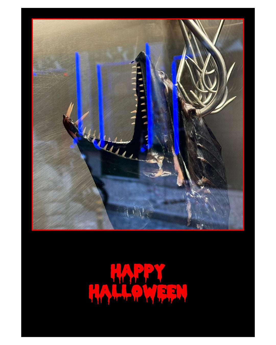 HALLOWEEN - Postcard Collection (Set of 16)